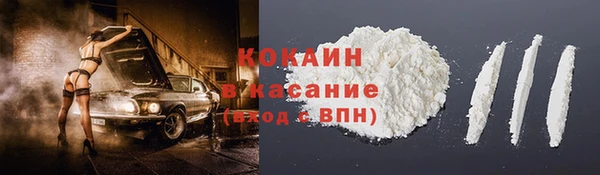 прущие грибы Богородицк