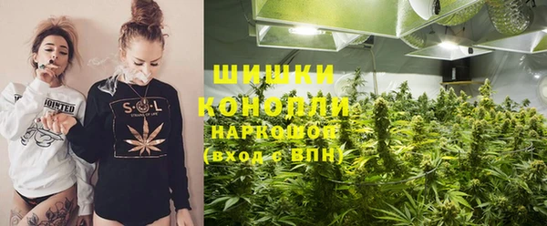 прущие грибы Богородицк