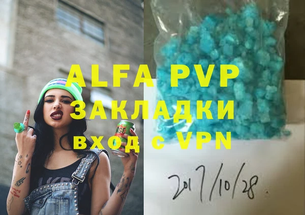шишки Дубна
