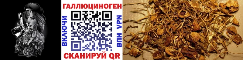 Псилоцибиновые грибы мицелий  даркнет клад  Микунь 